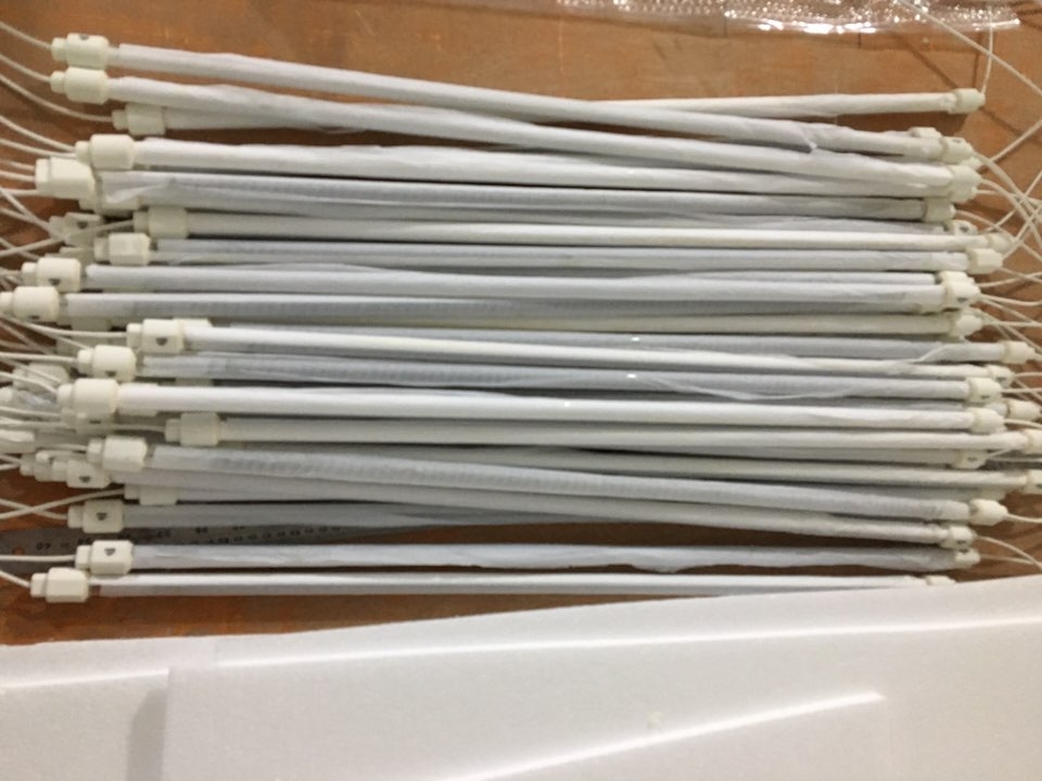 Carbon Filament Lamp